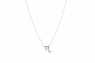 Silver necklace with a zodiac symbol pendant on a white surface