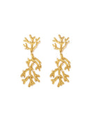 Gold leaf-shaped earrings on a white background