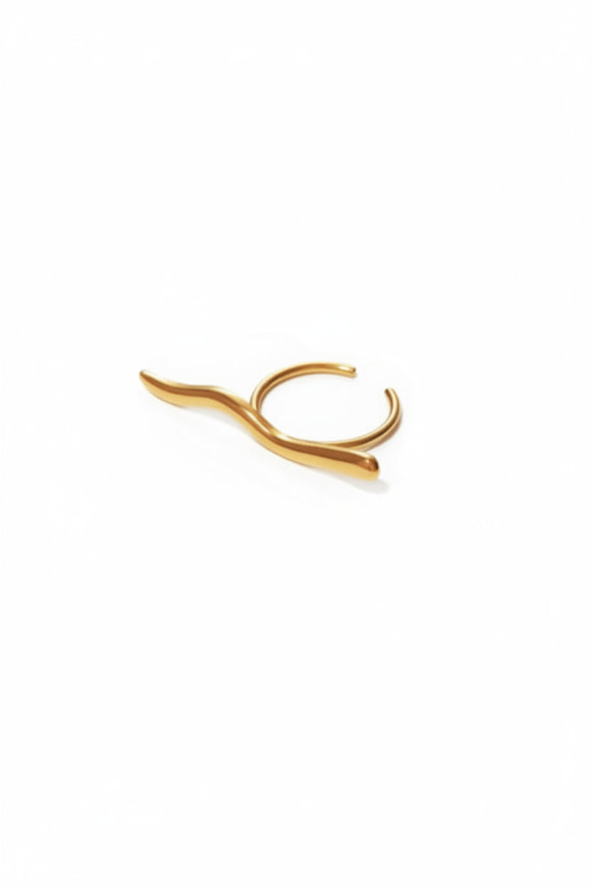 Gold adjustable ring with measurement annotations showing inner diameter of 1.75cm, overall size of 4.