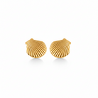 Gold shell-shaped earrings on a white background