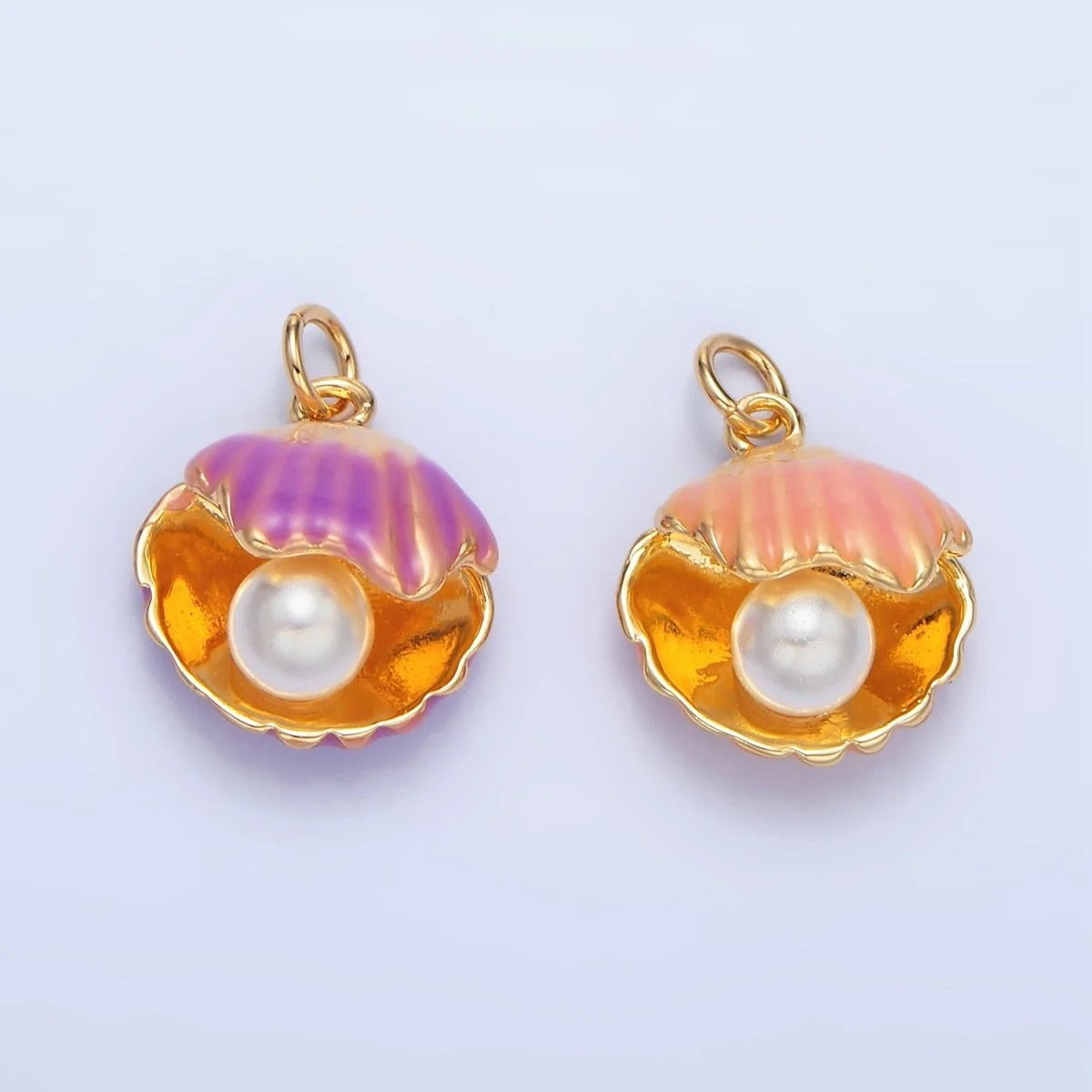 Clam image 2