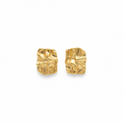 Pair of gold earrings on a white background